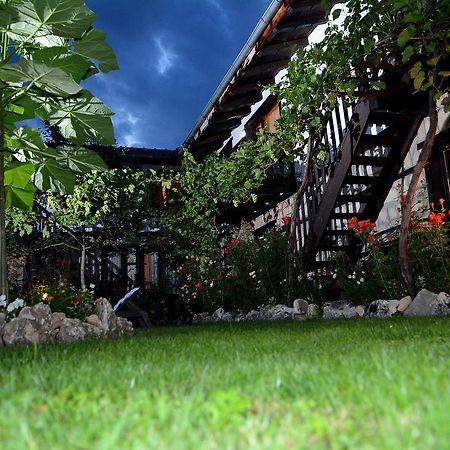 Trenchova Guest House バンスコ エクステリア 写真