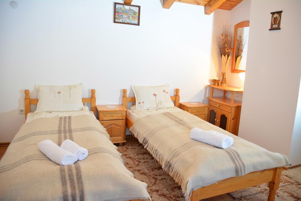Trenchova Guest House バンスコ エクステリア 写真