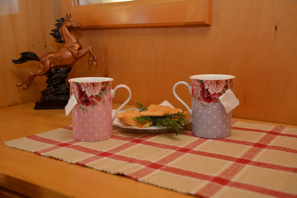 Trenchova Guest House バンスコ エクステリア 写真